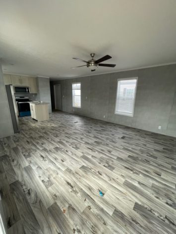 Iris Winds - Image 2