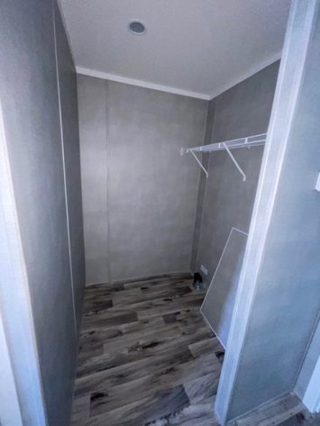 Iris Winds - Image 5