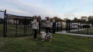 Memphis Blues, UMH Properties Inc. 2018