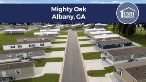 Mighty Oak: Albany, Georgia