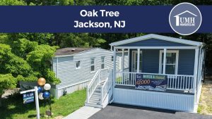 Oak Tree: Jackson, New Jersey