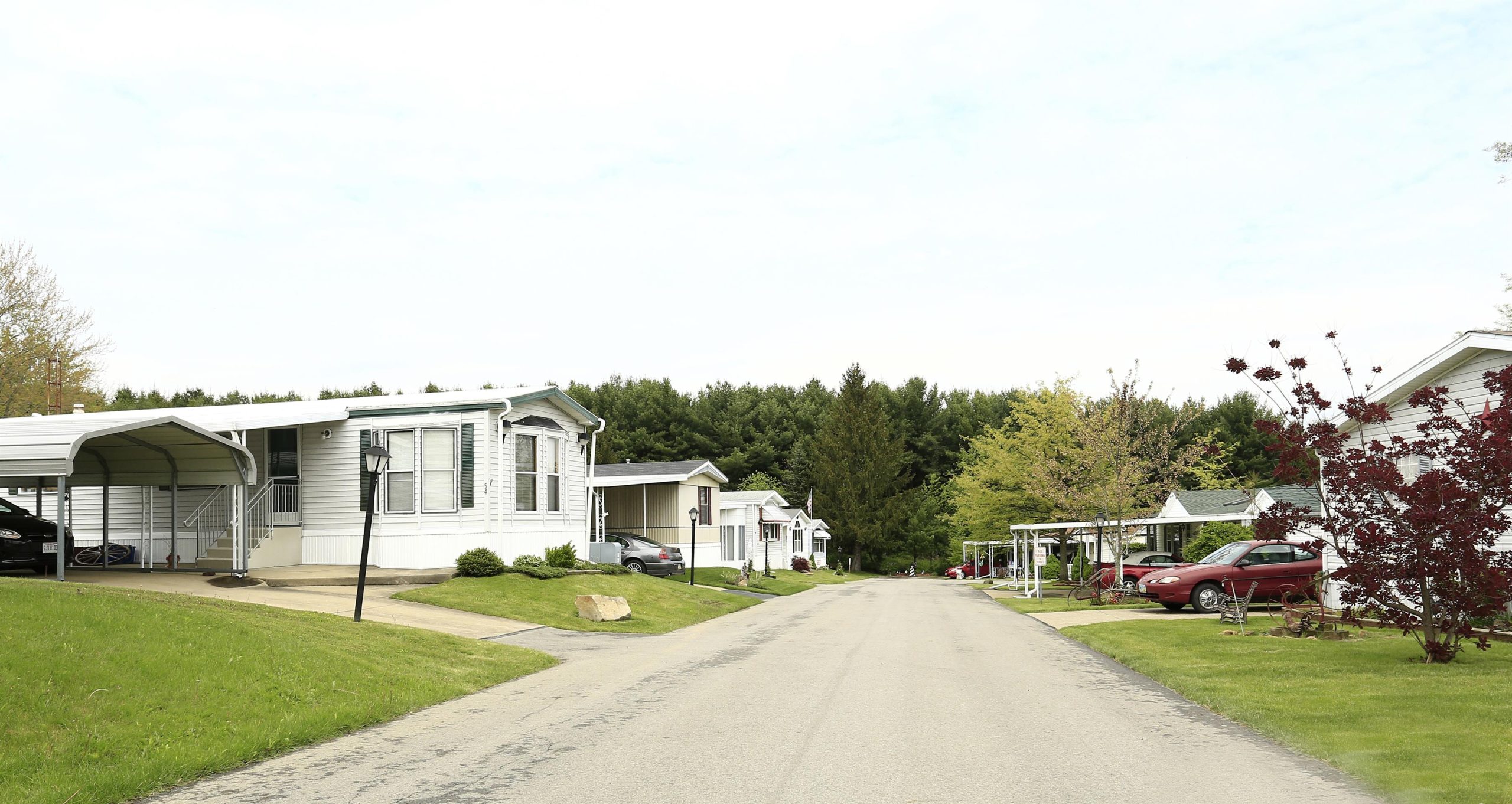 Deer Meadows - Image 4