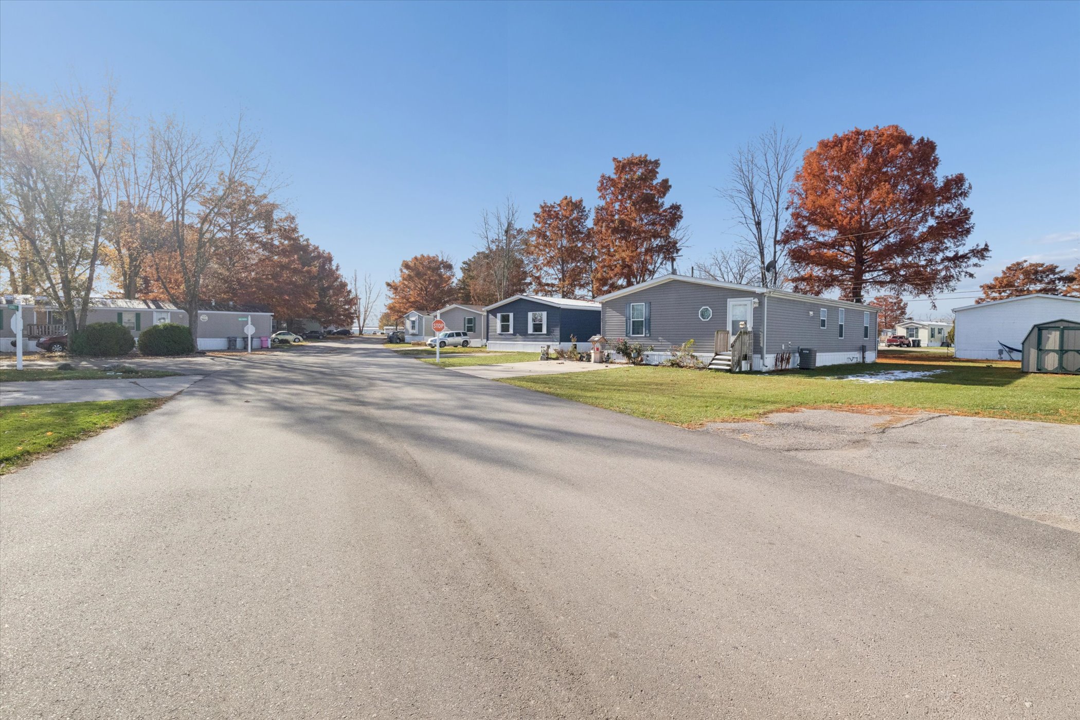 Meadows - Image 4