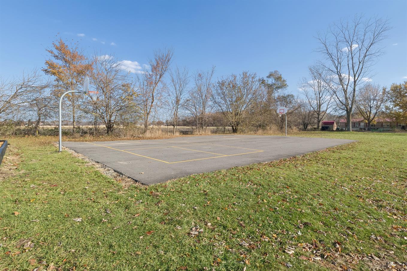 Meadows - Image 4