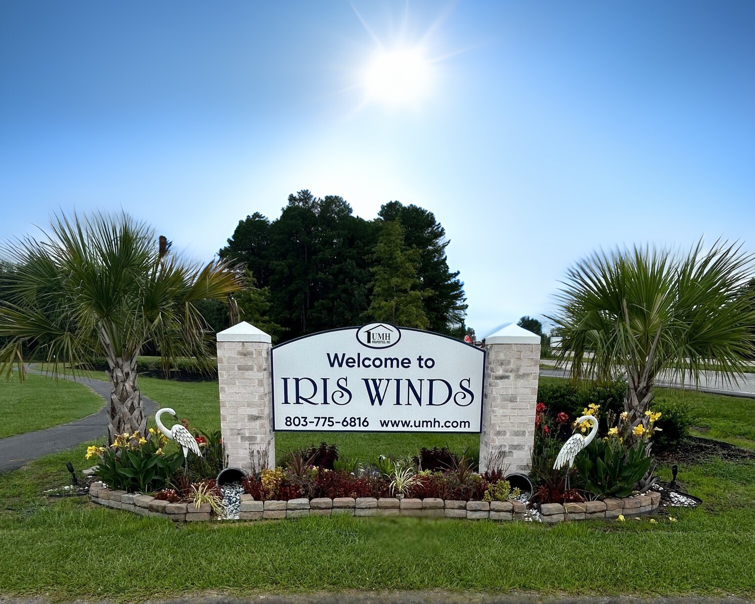 Iris Winds