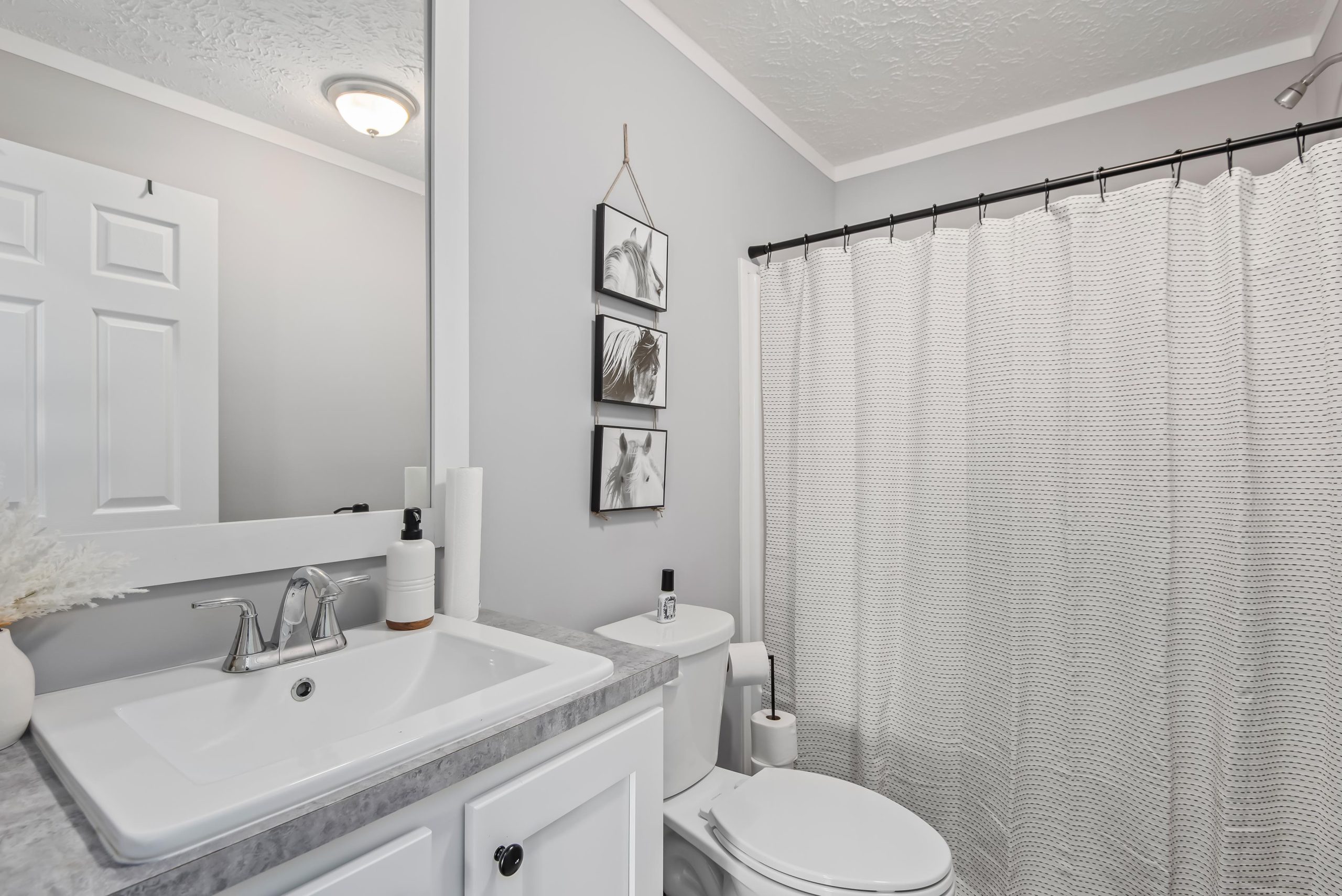 Saddle Creek - Image 16