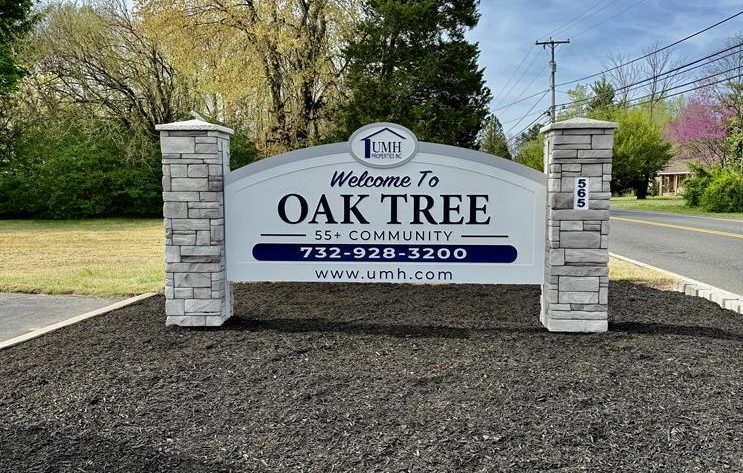 Oak Tree