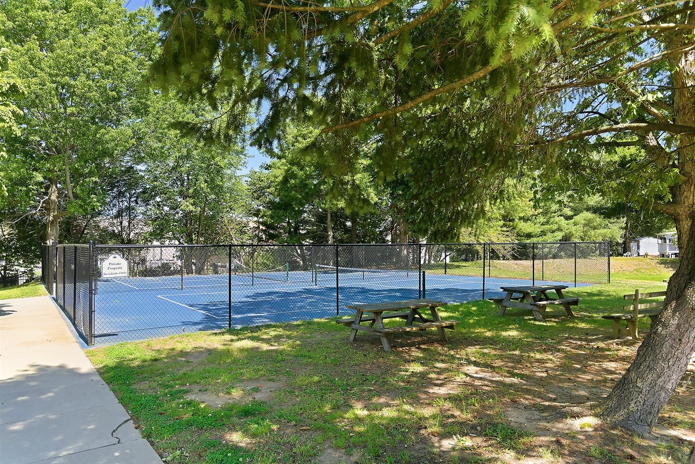 Cedar Grove - Image 19