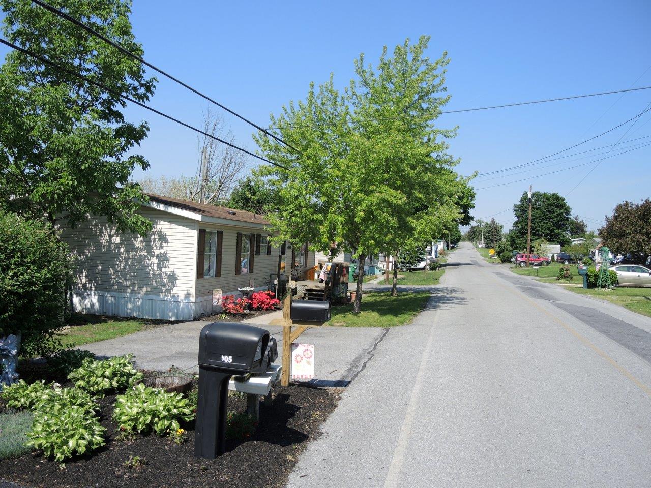 Carsons - Image 5