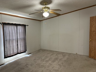 Boardwalk - Image 12