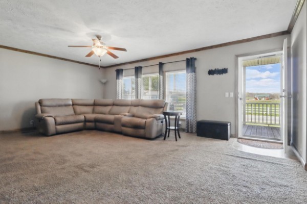 Countryside Village - Image 5