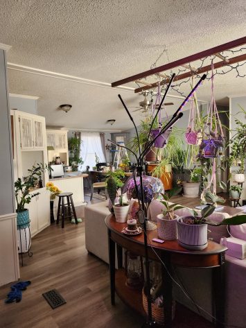 Northtowne Meadows - Image 9