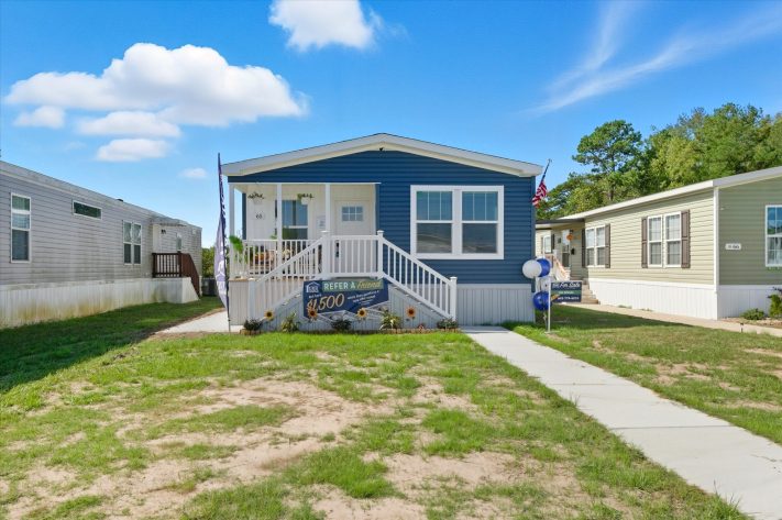 Iris Winds - Image 2