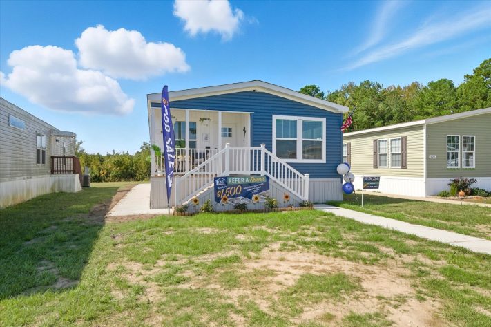 Iris Winds - Image 4