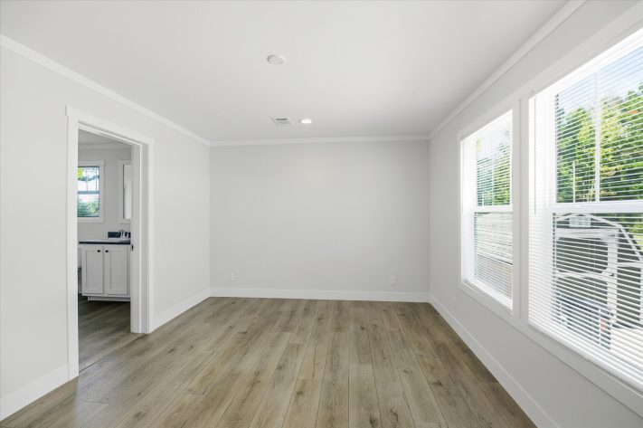 Iris Winds - Image 14