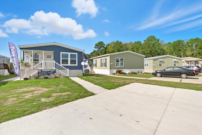 Iris Winds - Image 21