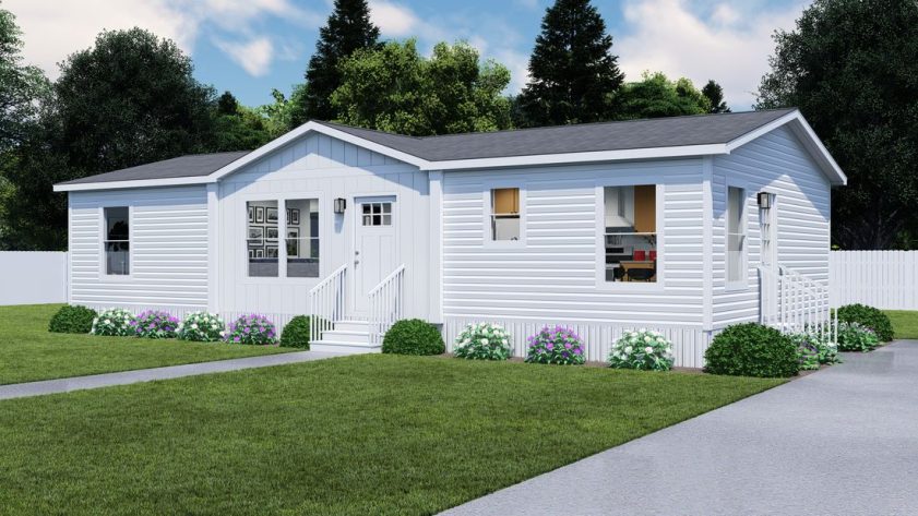 Iris Winds - Image 1