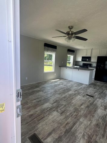 Iris Winds - Image 5