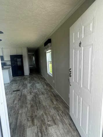 Iris Winds - Image 6