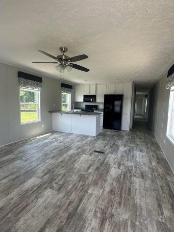 Iris Winds - Image 3