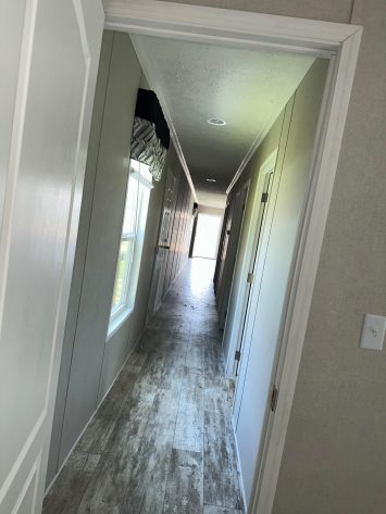 Iris Winds - Image 10