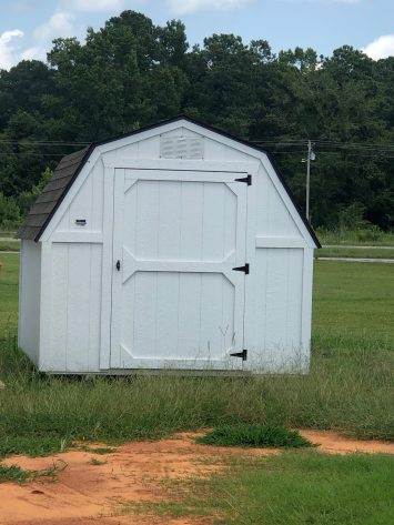 Iris Winds - Image 2