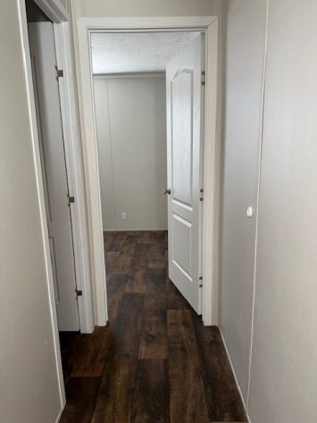 Iris Winds - Image 5