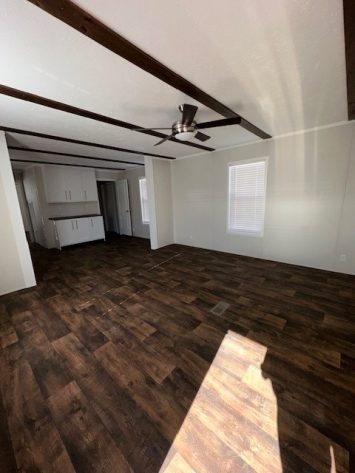 Iris Winds - Image 6