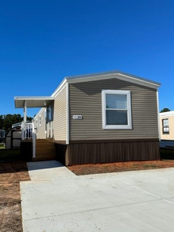 Iris Winds - Image 1