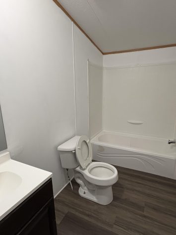 Hall Bathroom