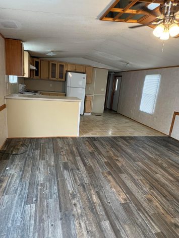Living room and Kitchen