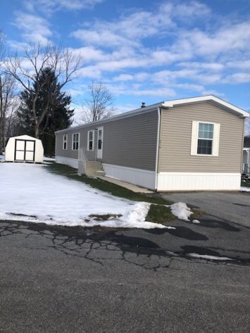 Laurel Woods - Image 1