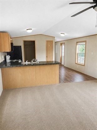 Kitchen-Living